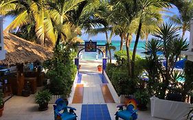 Blue Tang Hotel Belize